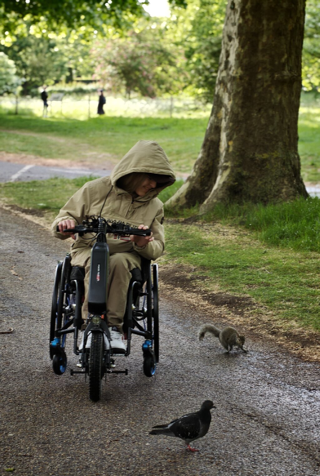App-Controlled Electric Handbike App-Controlled Electric Handbike