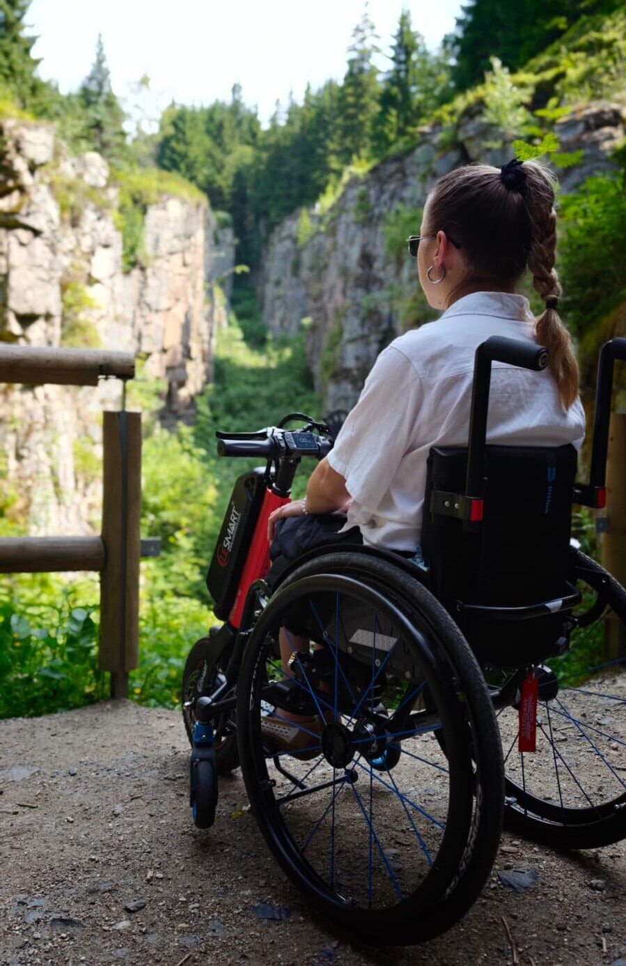 Electric Wheelchair Attachment for Shopping